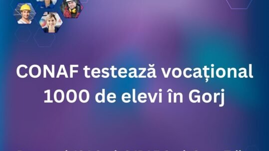 Pactul pentru tineri-testare vocațională elevi
