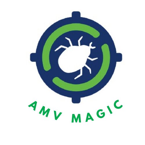 AMV MAGIC SRL